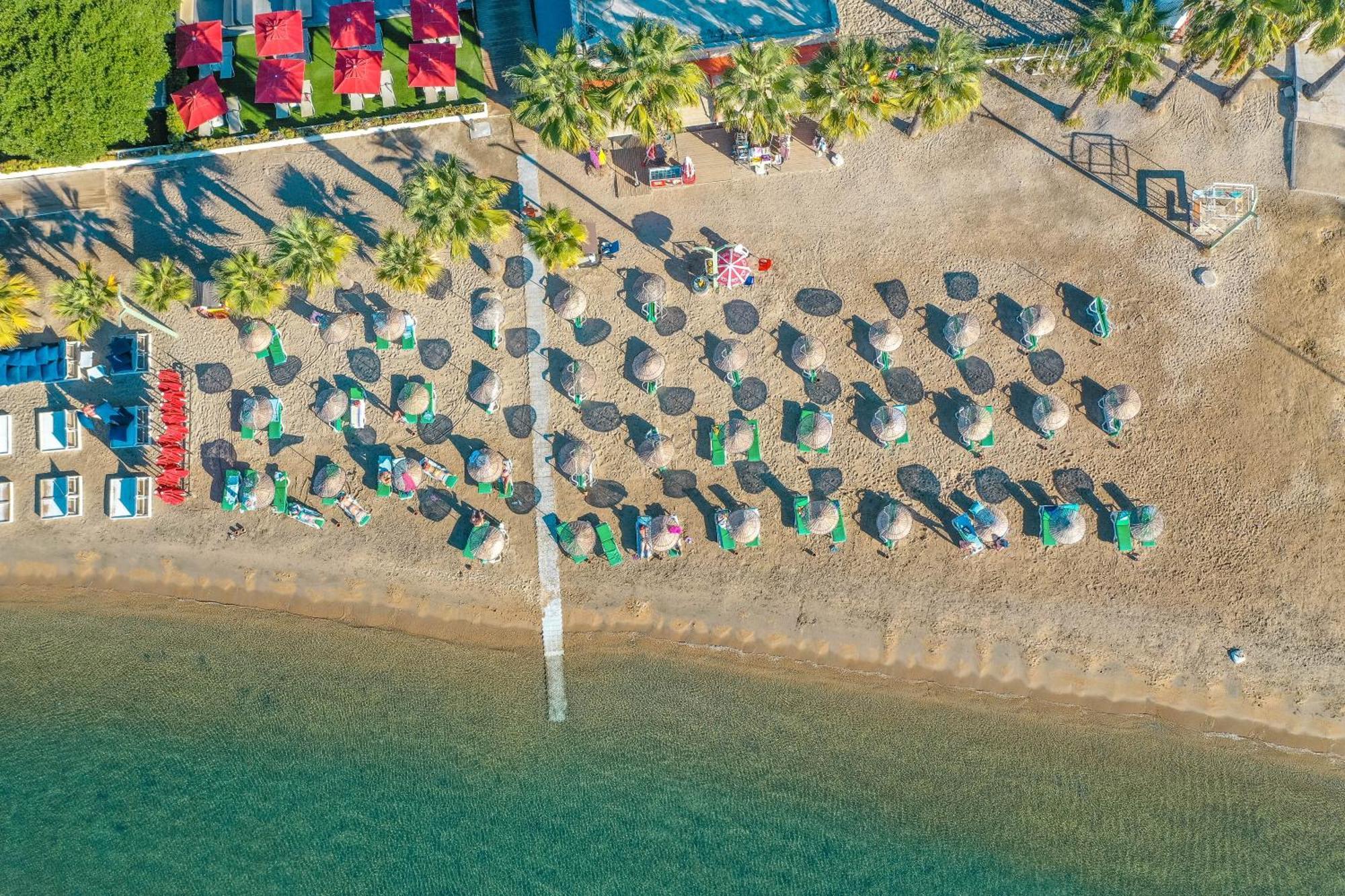 Staying Near Bodrum's Underwater Museum: 9 Beach Hotels Compared